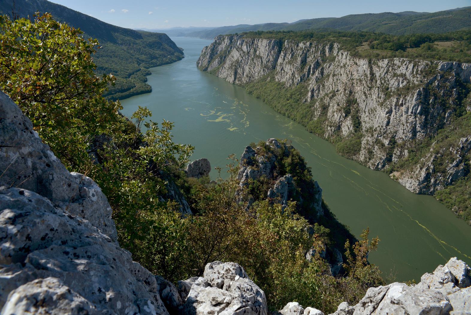 Nestroy: Von Wien bis zum Donaudelta