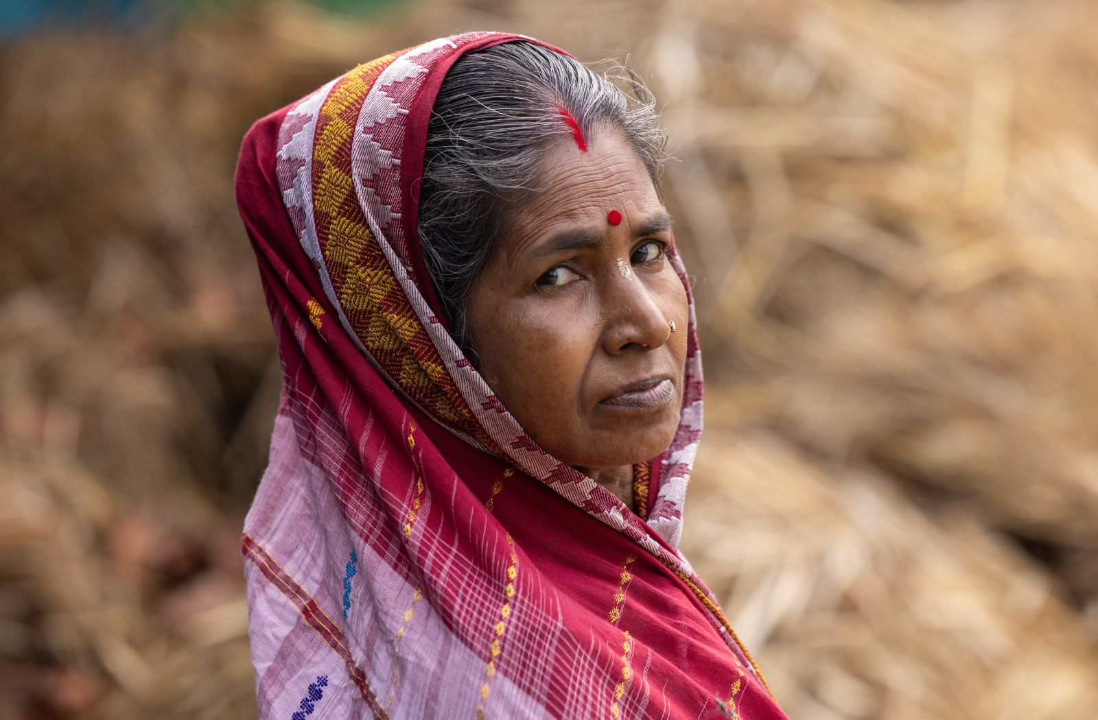 Thurgau Ganga Vilas: Die Weiten des Sundarbans